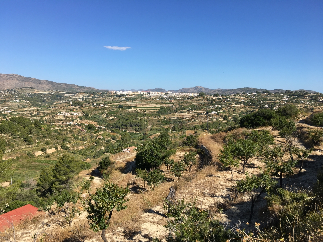 Your 15.000 m2 of land close to the best Coves (calas) of the region and enjoying your privacy all year round. 