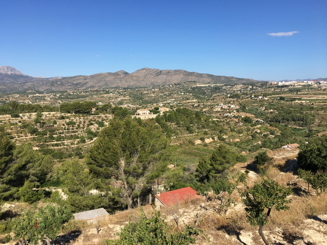 Your 15.000 m2 of land close to the best Coves (calas) of the region and enjoying your privacy all year round. 