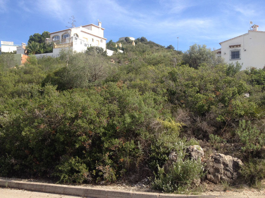 Mooie bouwgrond in Oliva, vlakbij het voorjaar Font Salada, op toplocatie met panoramisch uitzicht.