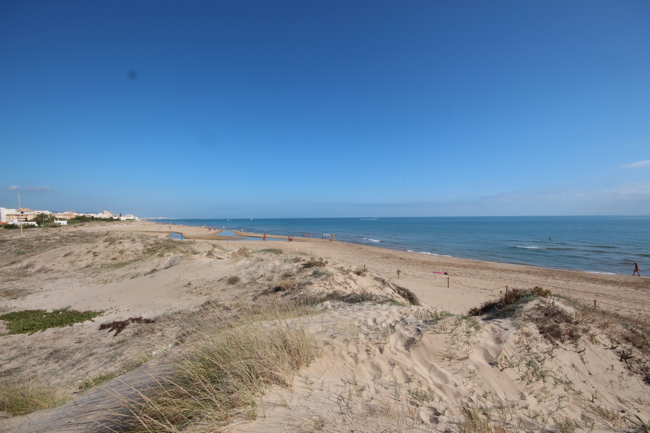 Flat rectangle plot in Oliva Playa. Beach with dunes and beautiful sand.