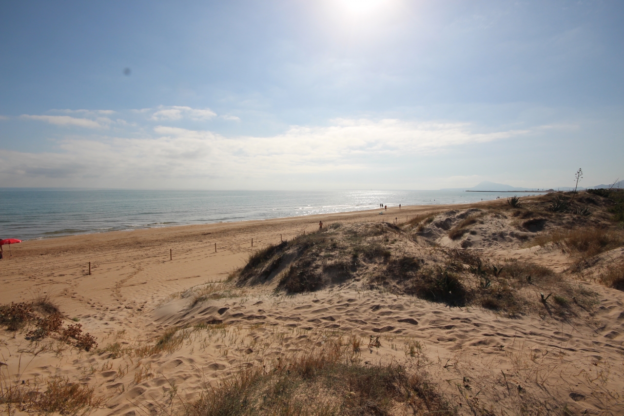 Parcela rectangular plana en Oliva Playa. Playa con preciosas dunas de arena.