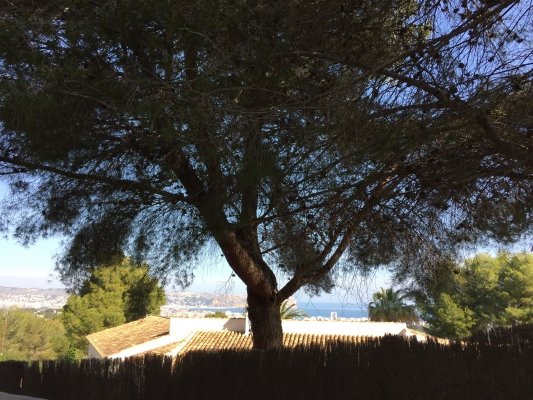 Grundstück in Javea
