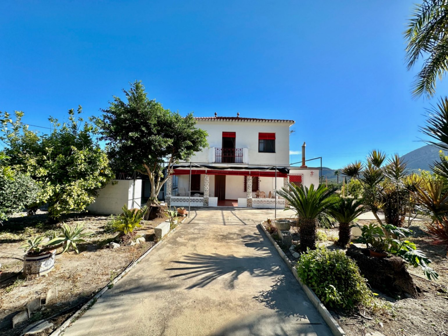 Finca junto al centro urbano de Pego