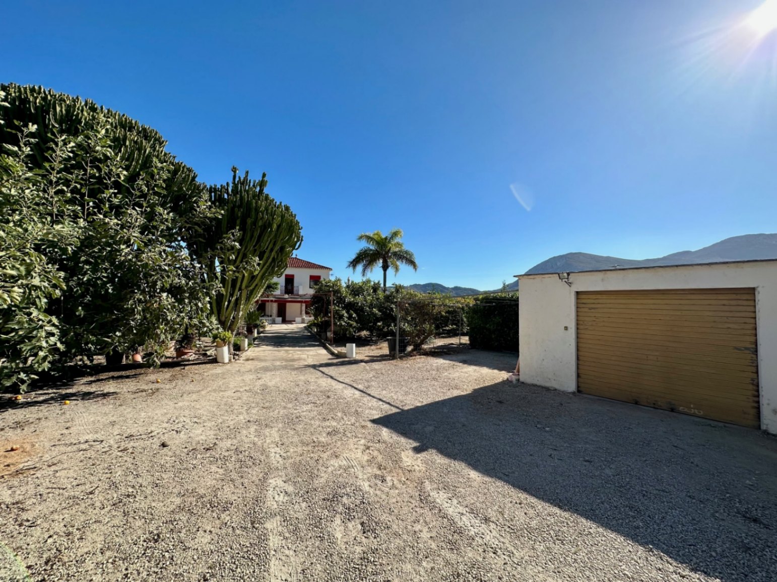 Finca junto al centro urbano de Pego