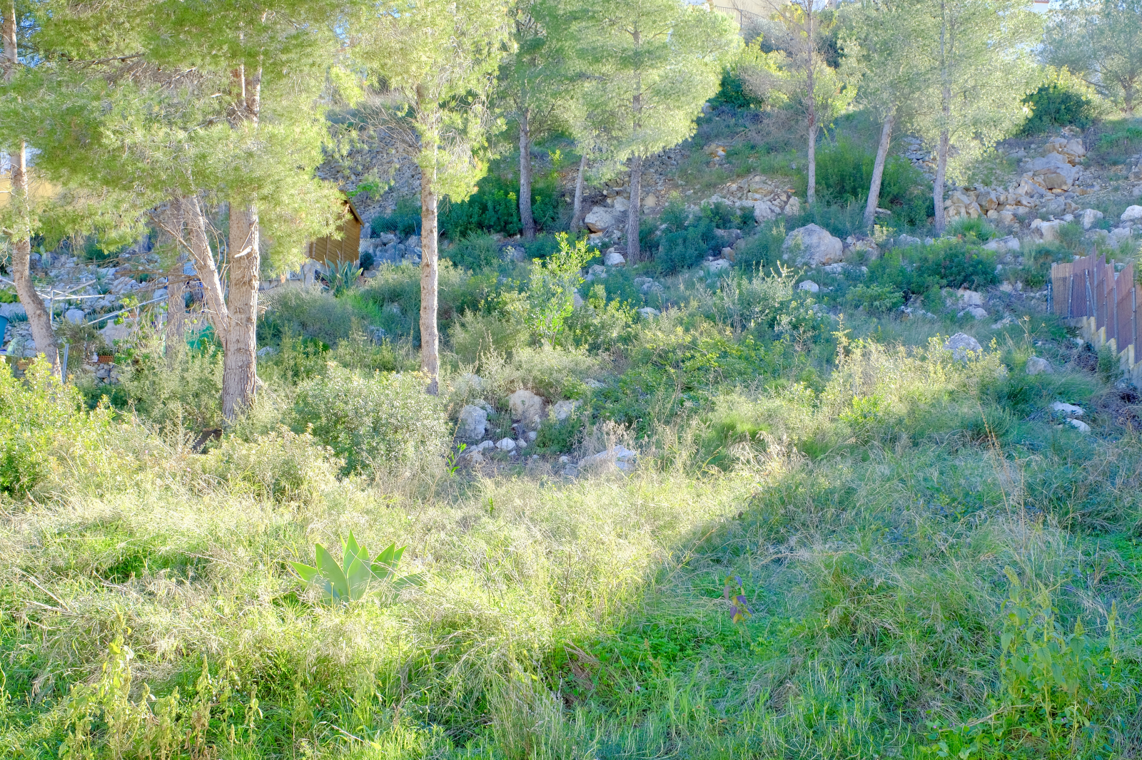 Villa neuve de 3 chambres avec piscine